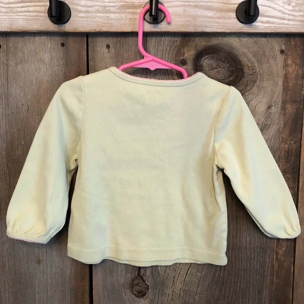 2008 Gymboree Light Green Cat Graphic Long Sleeve Top Size 2T